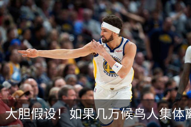 大胆假设！如果几万候鸟人集体离开坡月，后果真的不堪设想