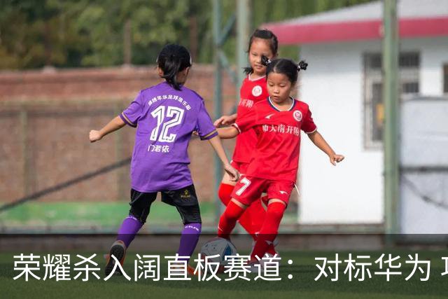 荣耀杀入阔直板赛道：对标华为 项目已经启动